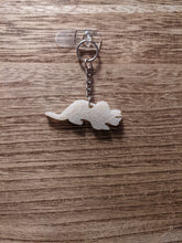 Load image into Gallery viewer, Keychains